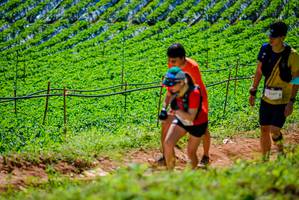 BIB: 
                            <button type="button" onclick="openModal(19163760)" class="btn btn-primary btn-sm float-right btn-popup" data-toggle="modal" data-target=".modal-high-quality">
                        <i class="fas fa-shopping-cart"></i> Add to Cart
                    </button>
                                            <button type="button" onclick="isThisMe(19163760, true)" class="btn btn-success btn-sm float-right btn-popup btn-isme hidden" data-toggle="tooltip" data-placement="bottom" title="นี่คือรูปของคุณใช่ไหม คลิกที่นี่เพื่อเอาเข้าอัลบั้ม">
                        <i class="fas fa-plus"></i> Add to album
                    </button>
                    <button type="button" onclick="isThisMe(19163760, false)" class="btn btn-warning btn-sm float-right btn-popup btn-isnotme hidden">
                        <i class="fas fa-ban"></i> Remove from album
                    </button>